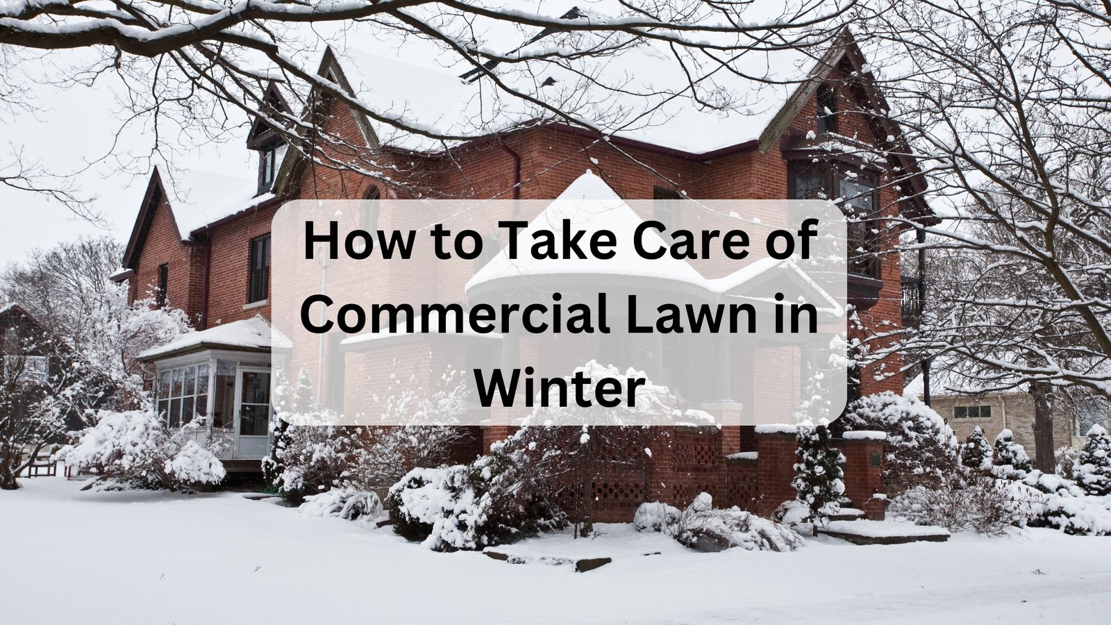 How To Take Care Of Commercial Lawn In Winter