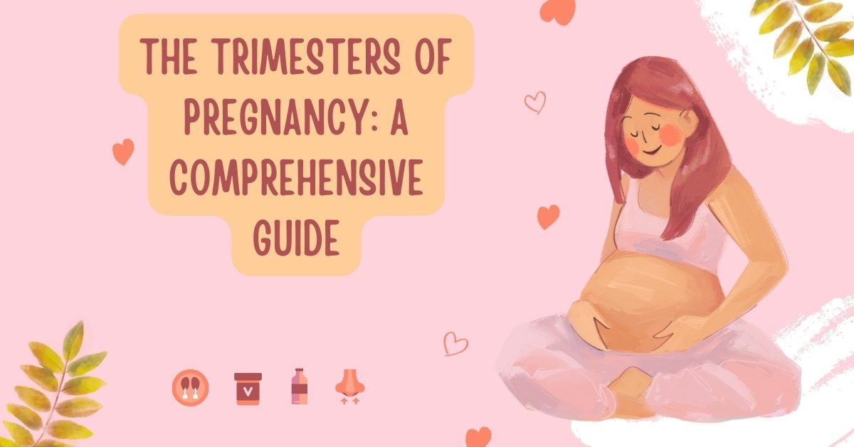 The Trimesters Of Pregnancy: A Comprehensive Guide