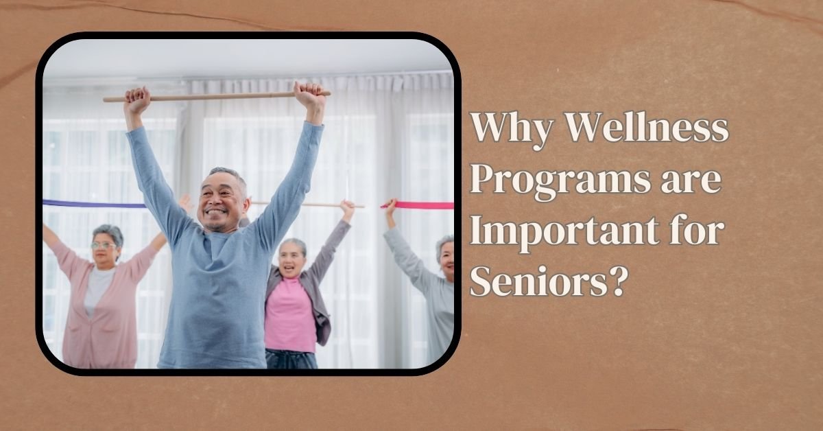 Why Wellness Programs Are Important For Seniors?
